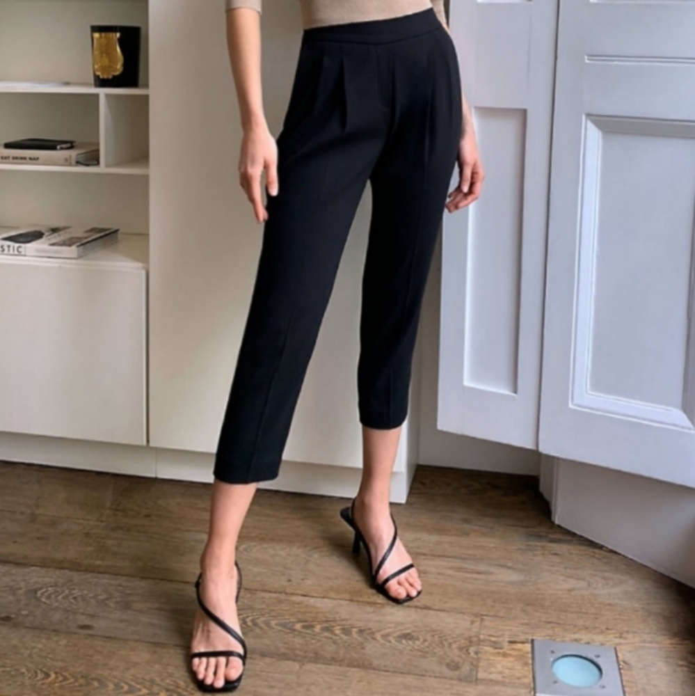 ARITZIA Babaton Cohen Pants